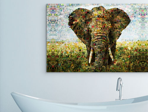 photo mosaique sur Alu-Dibond - Elephant par-dessus la baignoire