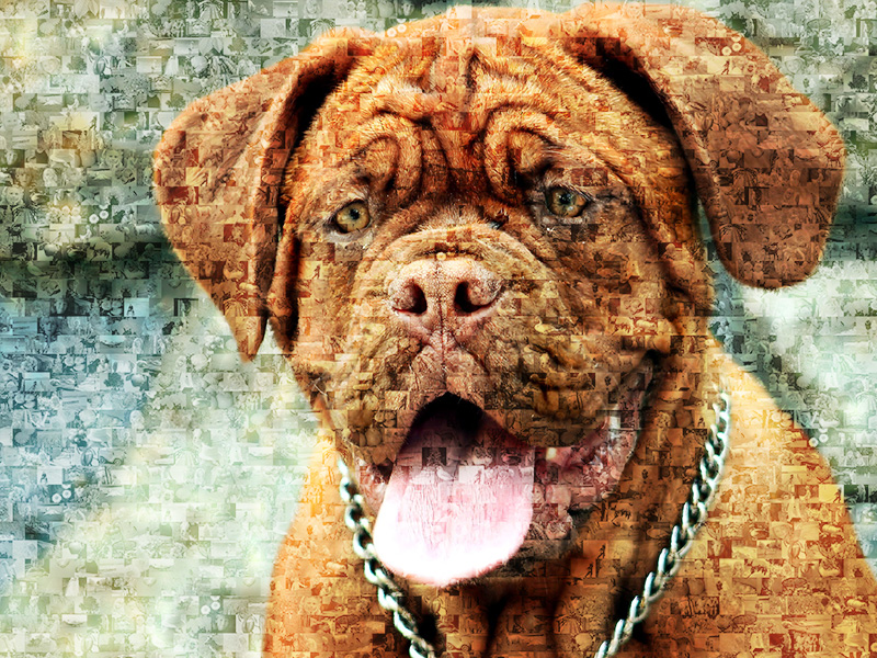 Mosaique Photo Dogue Allemand