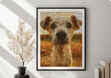 mosaique photo tarifs apercu produit poster